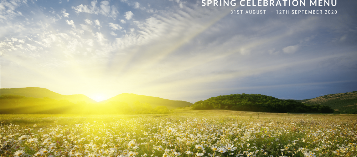 Blog image Spring 2020